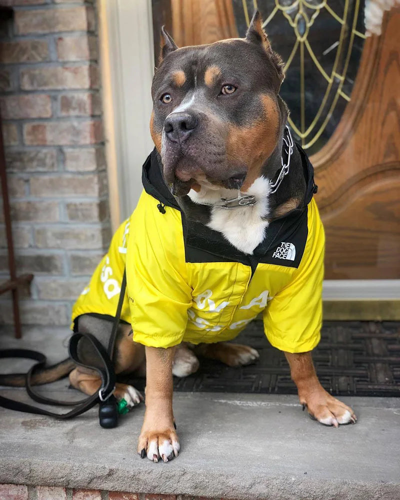 Dog Clothes Raincoat for Small Big Dogs